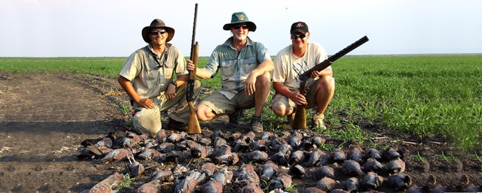 Wing shooting South Africa Pigeons and doves Beulah wingshooting